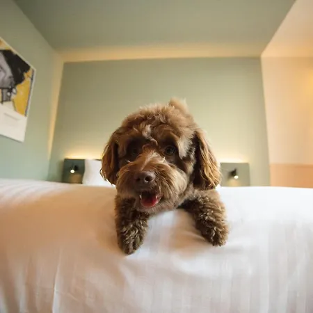 The Rebyl, Nijmegen, A Tribute Portfolio Ξενοδοχείο Ναϊμέγκεν