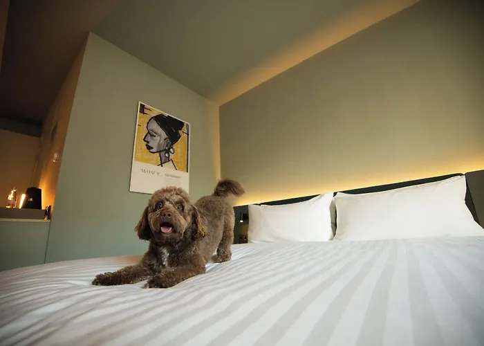 Hotel The Rebyl, Nijmegen, A Tribute Portfolio