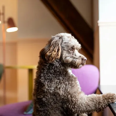 The Rebyl, Nijmegen, A Tribute Portfolio Nimwegen