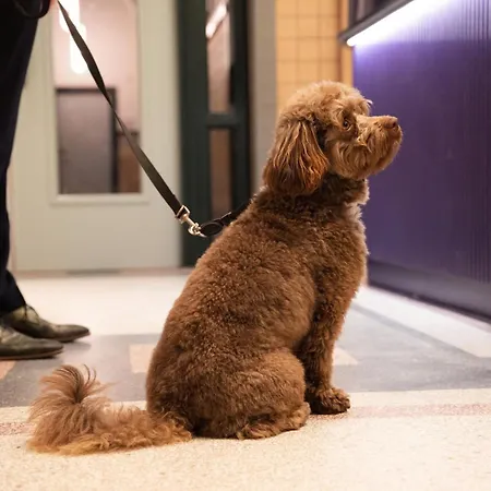 Hotel The Rebyl, Nijmegen, A Tribute Portfolio