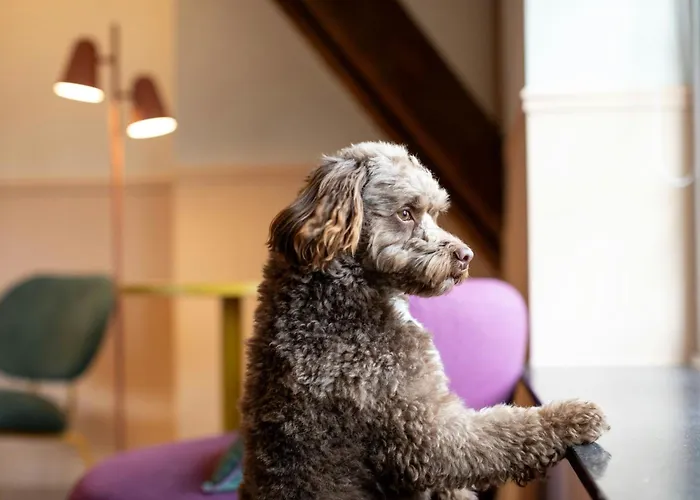 The Rebyl, Nijmegen, A Tribute Portfolio Nijmegen