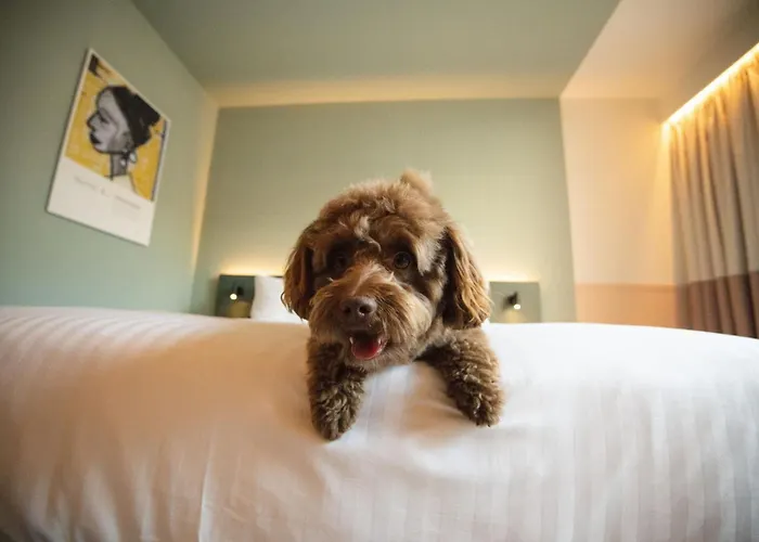 The Rebyl, Nijmegen, A Tribute Portfolio 호텔 네이메헨