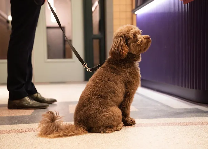 Otel The Rebyl, Nijmegen, A Tribute Portfolio